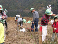 実のなる木