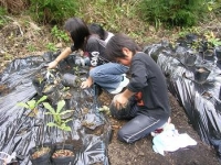 写真